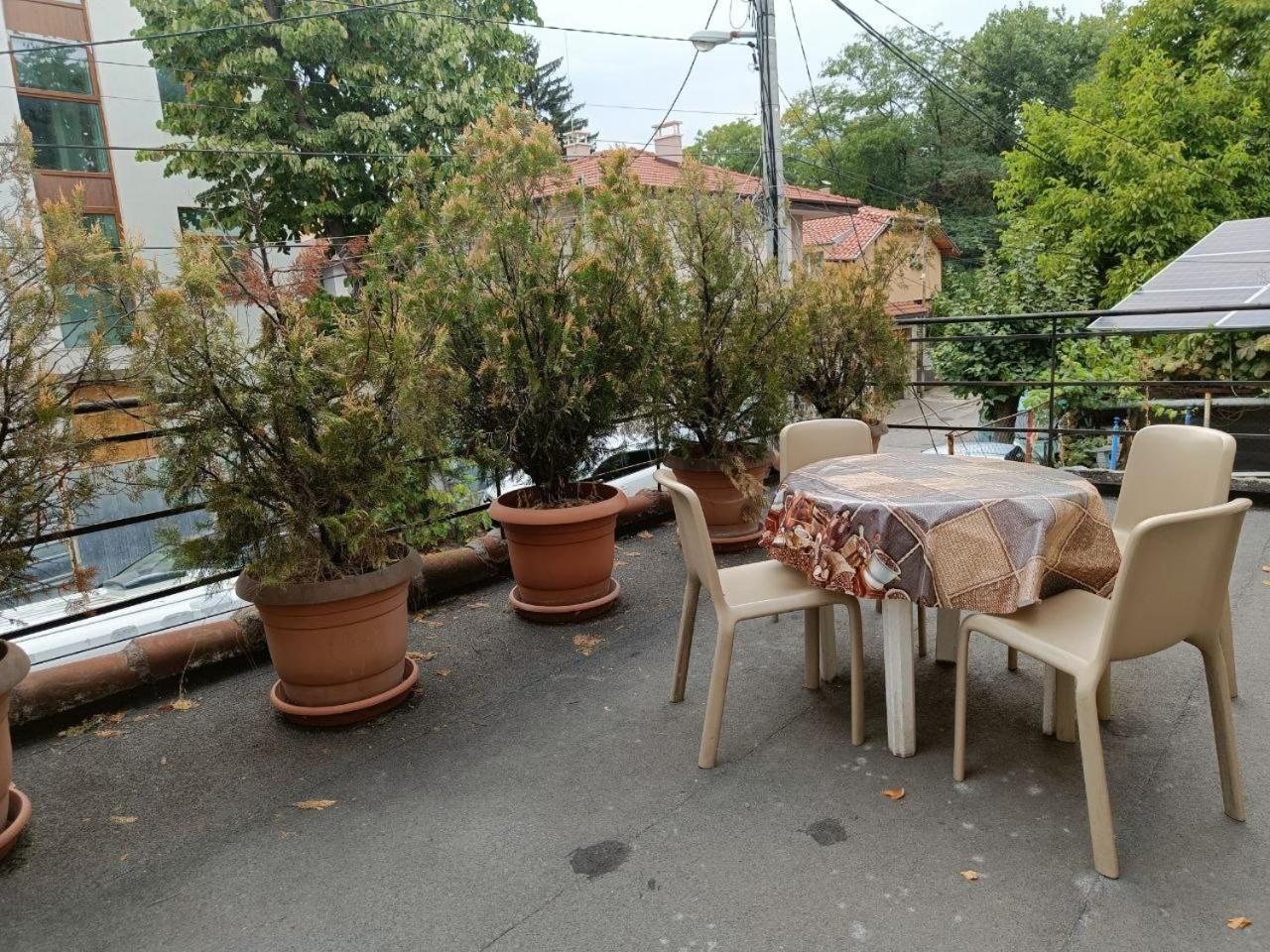 10 Coins Hostel & Tours Sofia Bagian luar foto